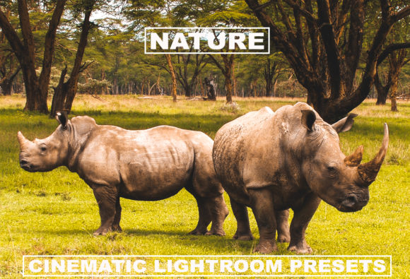 Download Cinematic Lightroom Presets Nature Tone - Nature Collection