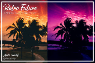 Download Retro Future Camera Raw Preset - Retro Collection